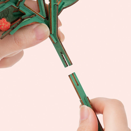 Drewniany Zestaw Puzzle 3D - Gwiazda Betlejemska | Rolife