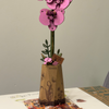 Orchidea Storczyk – Puzzle 3D Rowood, kwiat DIY, nie więdnie