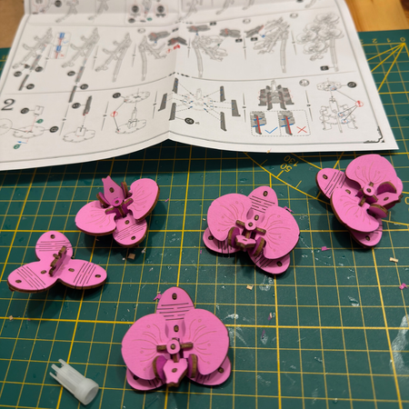 Orchidea Storczyk – Puzzle 3D Rowood, kwiat DIY, nie więdnie