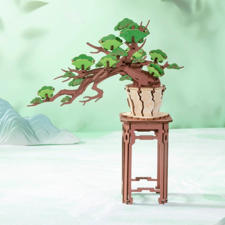 Bonsai Sosna – Puzzle 3D Rolife, wiecznie zielone drzewko