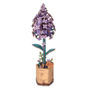 Bukiet Kwiatów Flower Bouquet – Puzzle 3D Rowood (581 el.)
