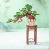 Bonsai Sosna – Puzzle 3D Rolife, wiecznie zielone drzewko