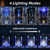 Circle of Magic Frame