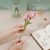 Pink Tulip – Puzzle 3D Rowood, 