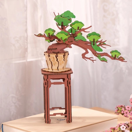 Bonsai Sosna – Puzzle 3D Rolife, wiecznie zielone drzewko