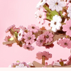 Sakura Bonsai – Puzzle 3D Rolife, drzewko wiśni DIY