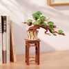 Bonsai Sosna – Puzzle 3D Rolife, wiecznie zielone drzewko