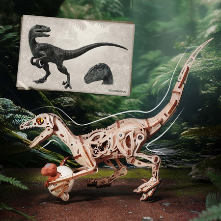 Drewniany Zestaw Puzzle 3D - Welociraptor | Rokr prezent drewniana układanka