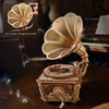 Drewniany Zestaw Puzzle 3D - Gramofon| ROKR