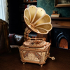 Drewniany Zestaw Puzzle 3D - Gramofon| ROKR