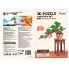 Bonsai Sosna – Puzzle 3D Rolife, wiecznie zielone drzewko