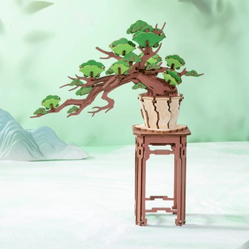 Bonsai Sosna – Puzzle 3D Rolife, wiecznie zielone drzewko